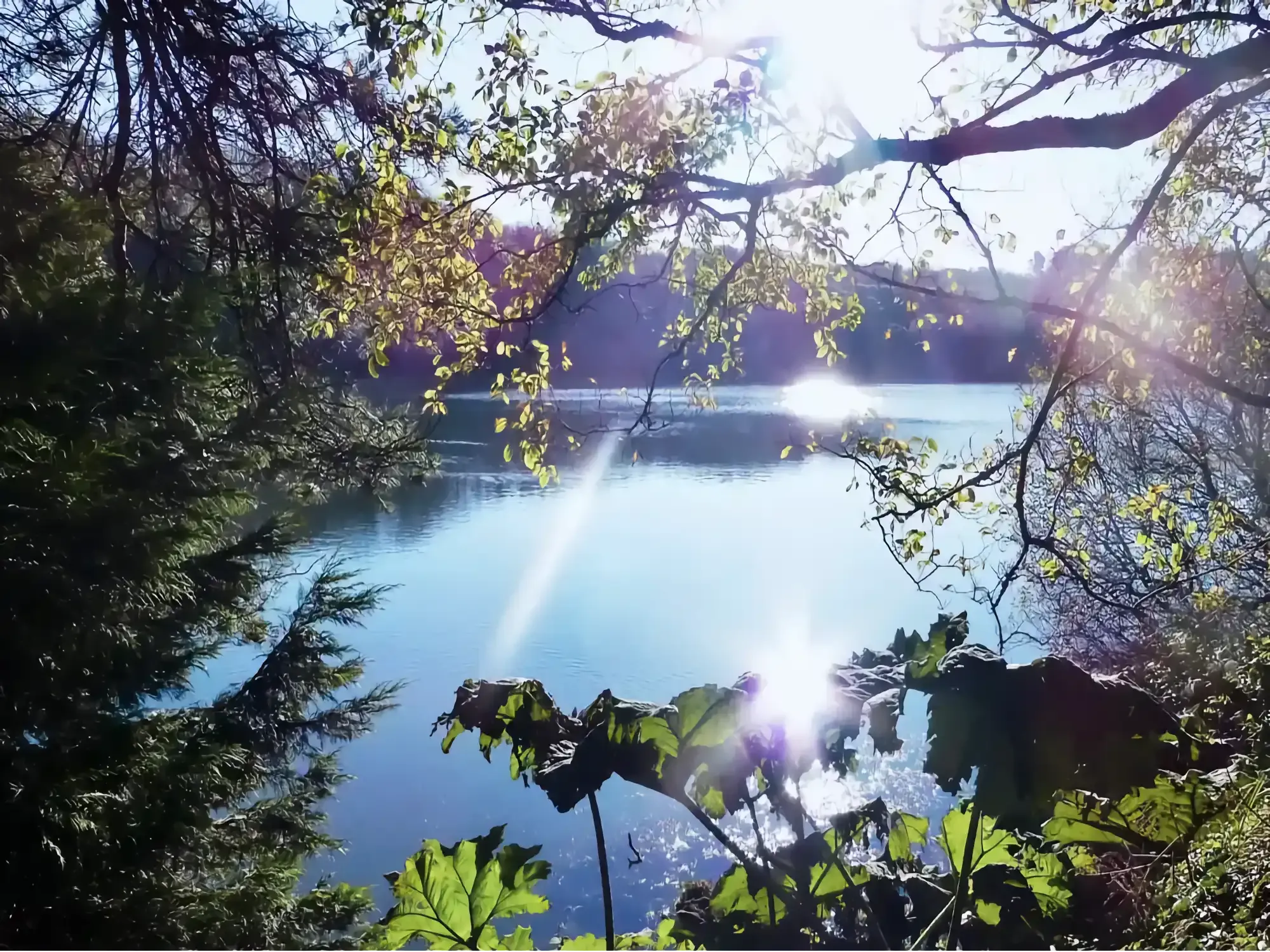 The Lake at Tresowes Green Cottage